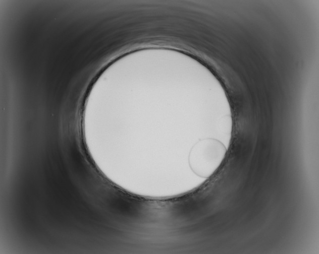 X0000088631514200705250847