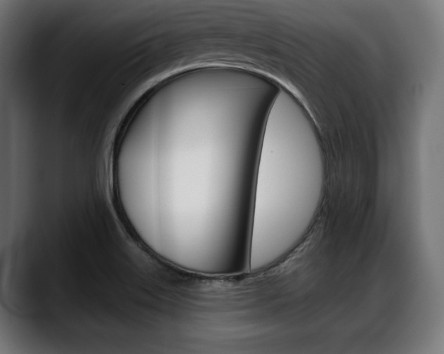 X0000088631515200705250848
