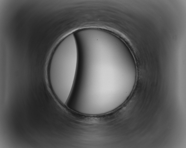 X0000088631517200705250848