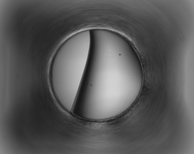 X0000088631519200705250848