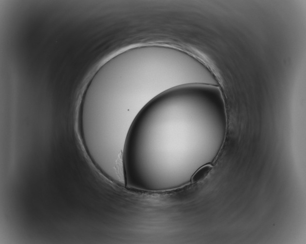 X0000088631520200705250848