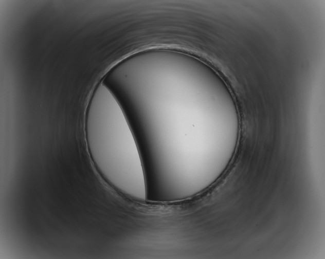 X0000088631521200705250848