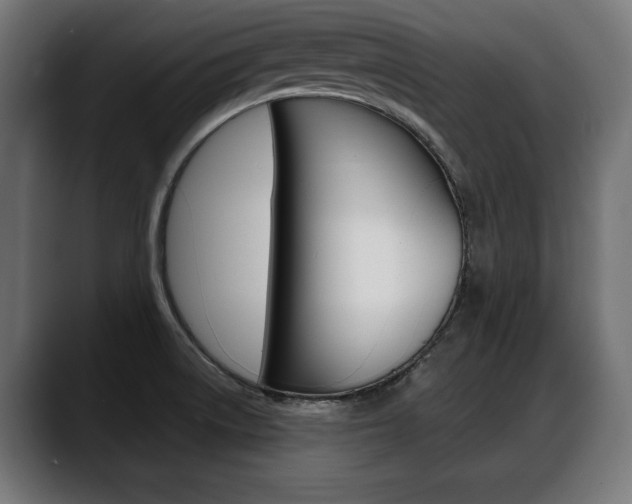X0000088631522200705250848