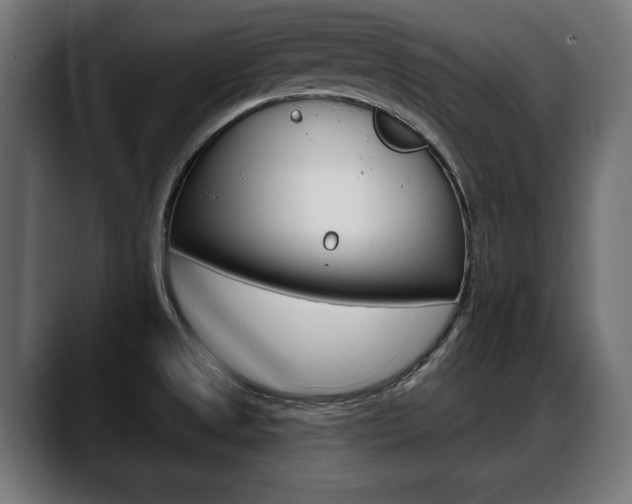 X0000088631525200705250848