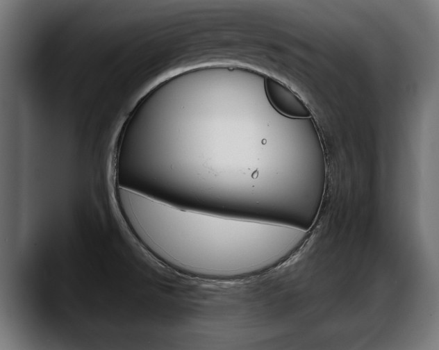 X0000088631526200705250848
