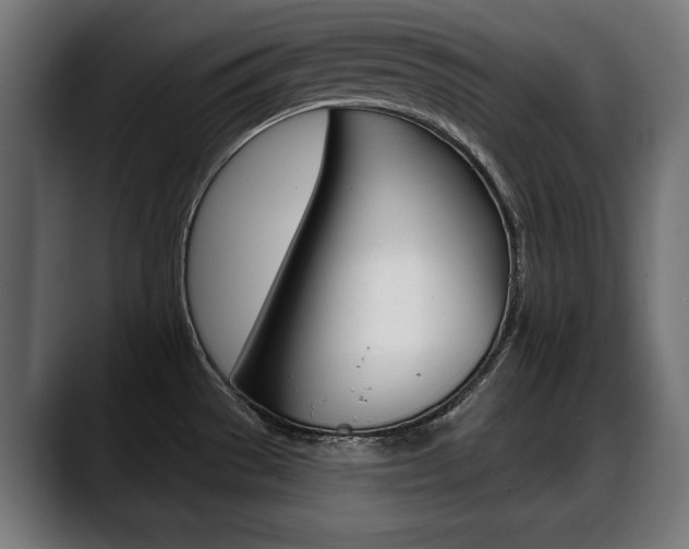 X0000088631529200705250848