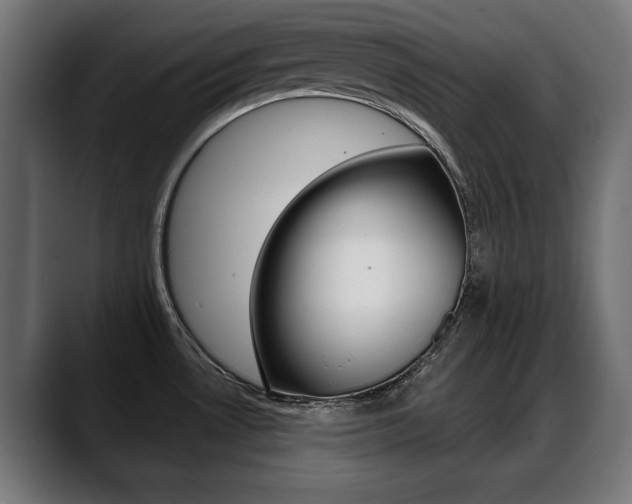 X0000088631530200705250848
