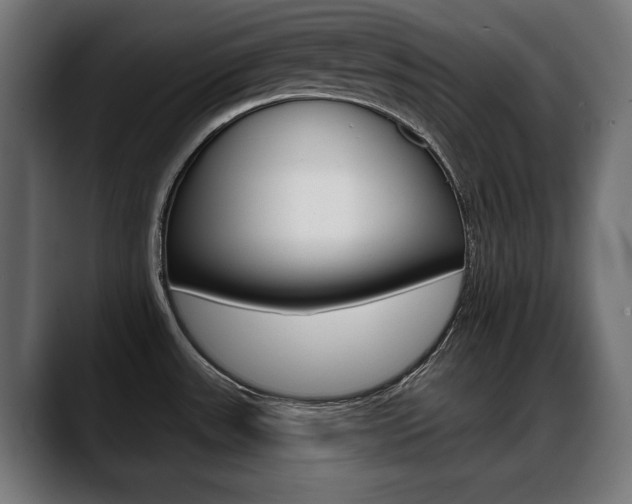 X0000088631531200705250848