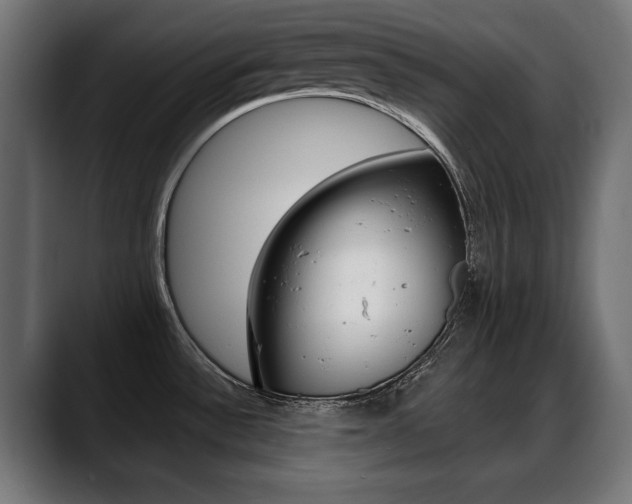 X0000088631532200705250848