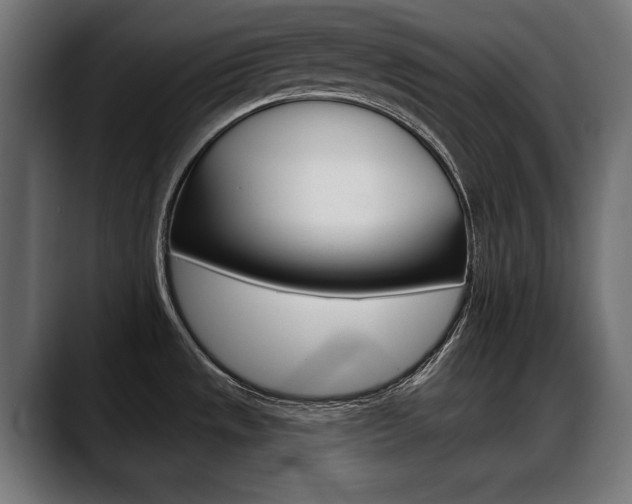 X0000088631533200705250848