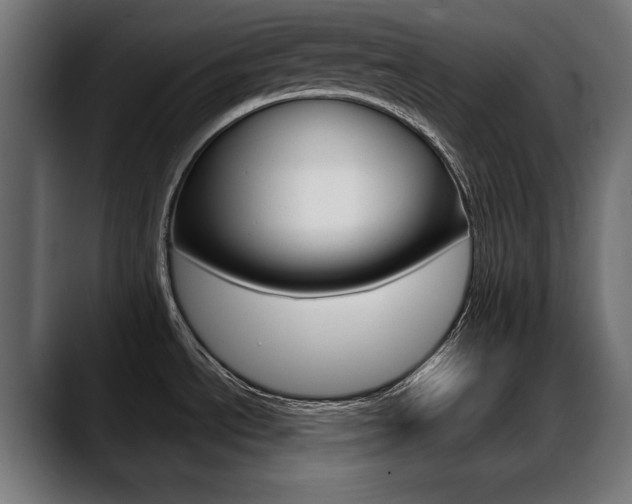X0000088631534200705250848