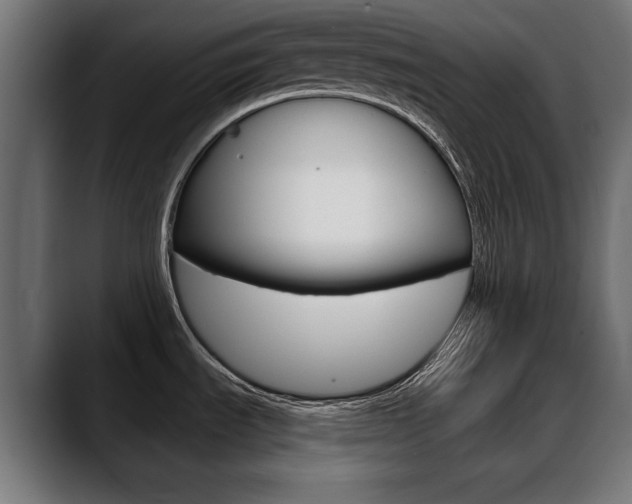 X0000088631535200705250848