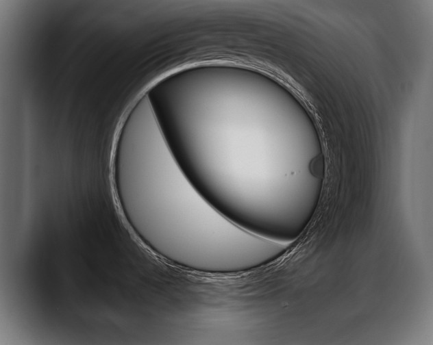 X0000088631536200705250848