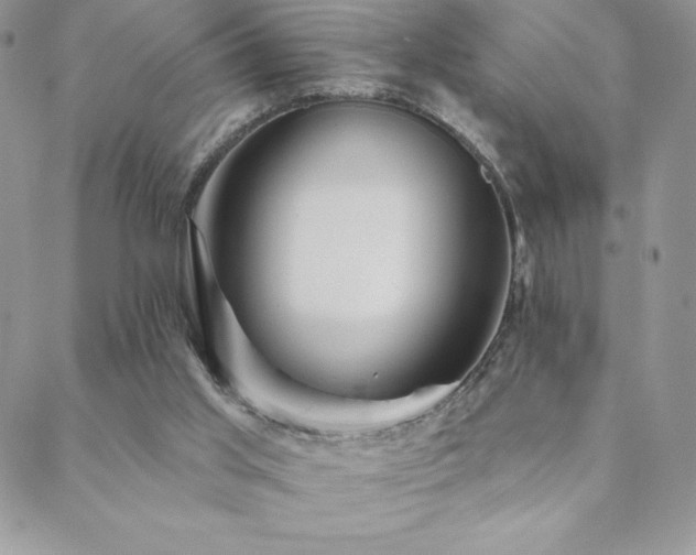 X0000088630013200705251444