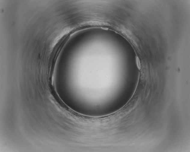 X0000088630015200705251444