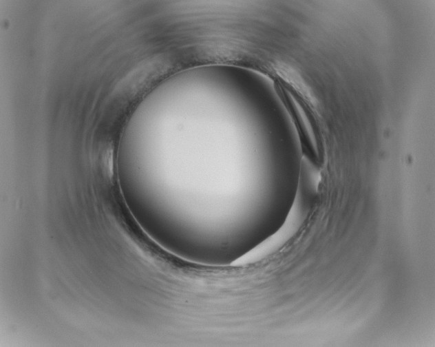 X0000088630021200705251444