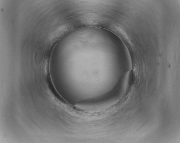 X0000088630023200705251444