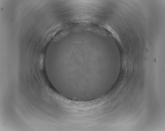 X0000088630026200705251444