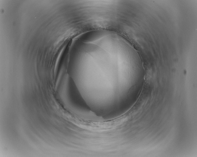 X0000088630027200705251444