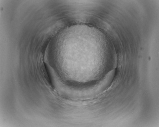 X0000088630029200705251444