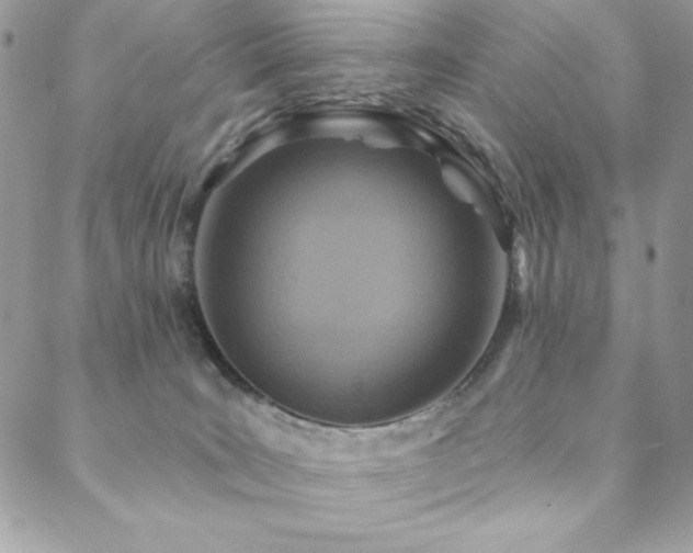 X0000088630035200705251444