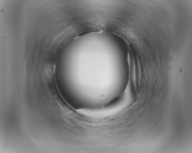 X0000088630037200705251444