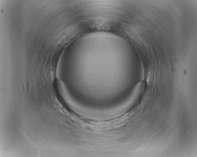 X0000088630039200705251443