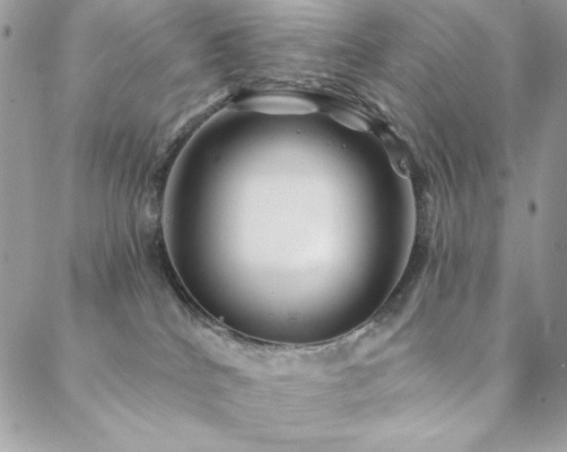 X0000088630040200705251443
