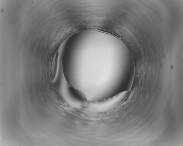X0000088630041200705251443
