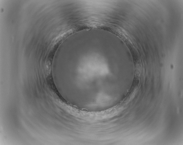 X0000088630043200705251443