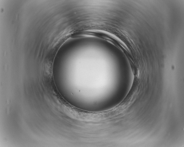 X0000088630044200705251443