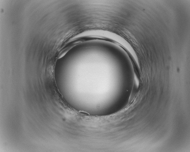 X0000088630045200705251443