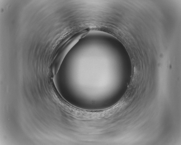 X0000088630048200705251443