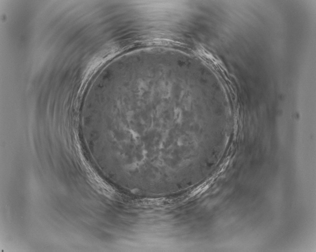 X0000088630049200705251443