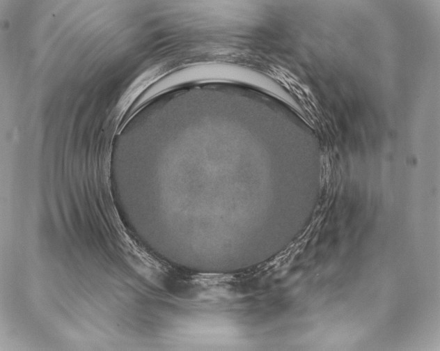 X0000088630051200705251443