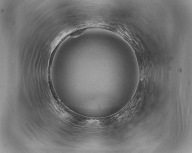X0000088630052200705251443