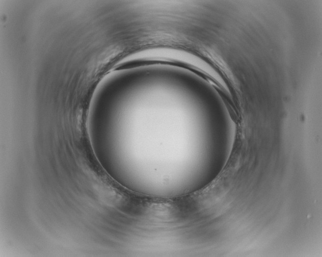 X0000088630066200705251443