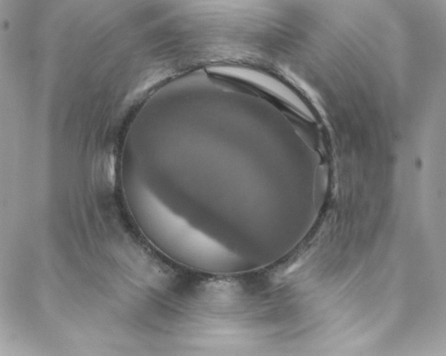 X0000088630067200705251443