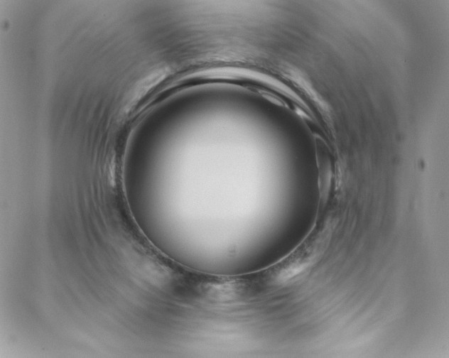 X0000088630068200705251443