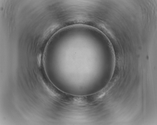 X0000088630070200705251443