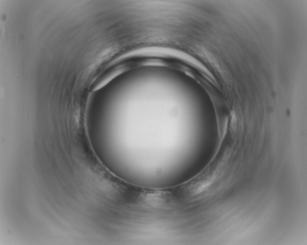 X0000088630072200705251443