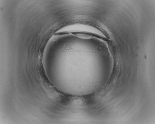 X0000088630073200705251443