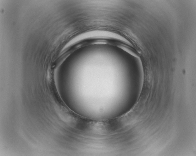 X0000088630074200705251443