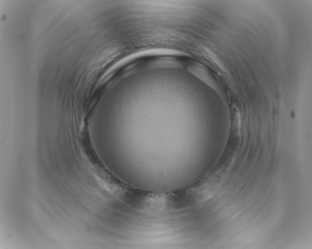 X0000088630076200705251443