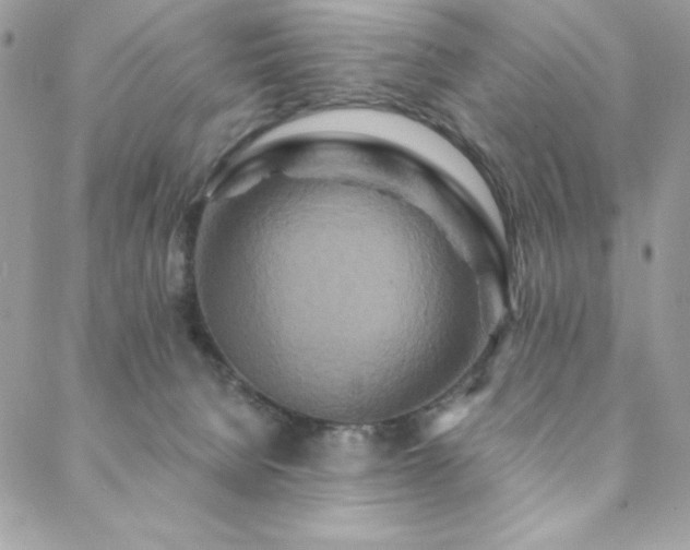 X0000088630080200705251443