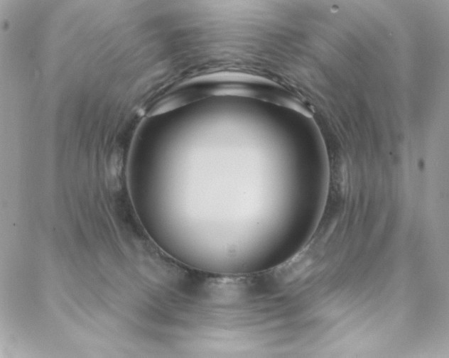 X0000088630082200705251443