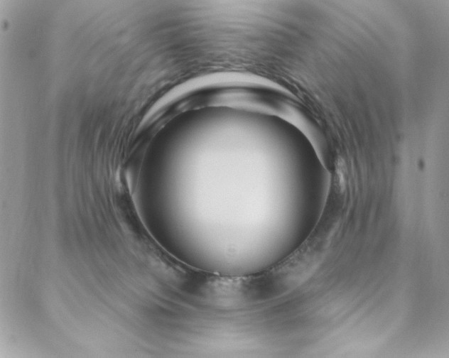 X0000088630084200705251443