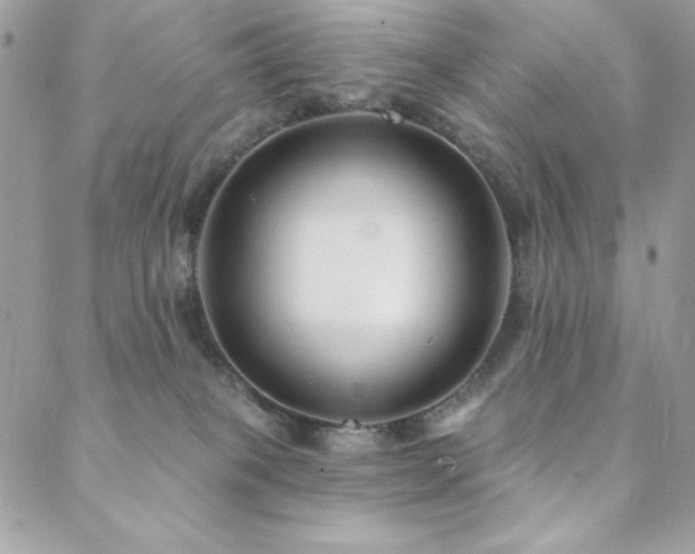 X0000088630085200705251443