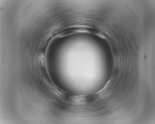 X0000088630094200705251443