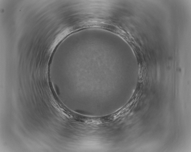 X0000088630099200705251442